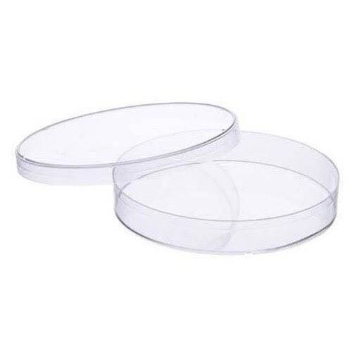 Cawan Petir kaca 100x20 mm